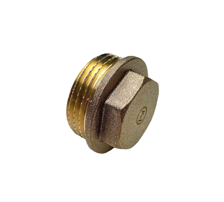 DN20 Plug, 1" male